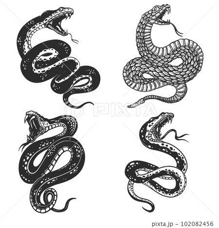Set of illustrations of poisonous snake in engraving style. Design element for logo, label, sign, poster, t shirt. Vector illustration 102082456