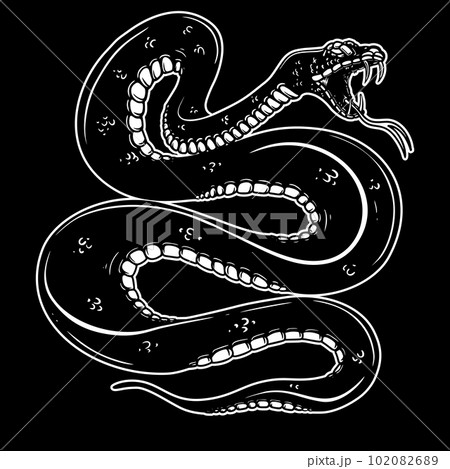 Illustration of poisonous snake in engraving style. Design element for logo, label, sign, poster, t shirt. Vector illustration 102082689