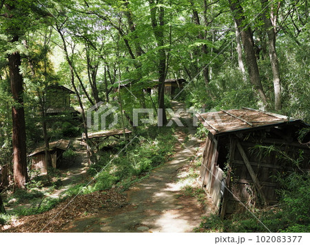 上州新田郡 三日月村の街道 上州新田郡 三日月村の街道 102083377