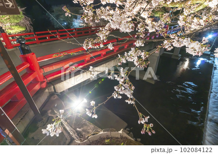 230403中橋夜桜s078 102084122