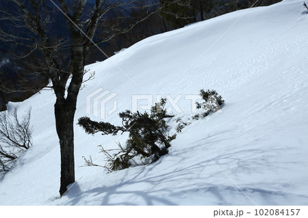 御在所岳の雪景色 御在所岳の雪景色 102084157