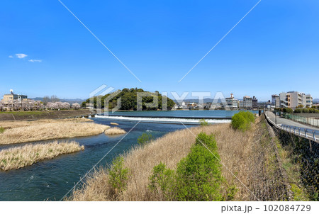 日田三隈川公園の桜と亀山公園と街並み 日田三隈川公園の桜と亀山公園と街並み 102084729