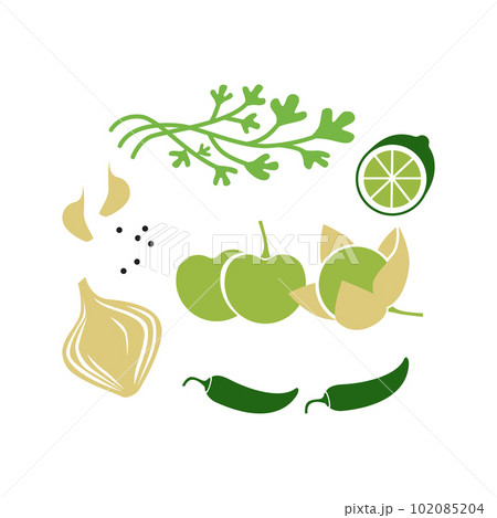 Fresh raw ingredients for salsa verde or green salsa. Vector illustration isolated on white. Fresh raw ingredients for salsa verde or green salsa. Vector illustration isolated on white. 102085204