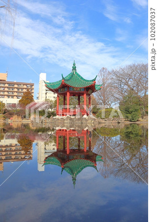 武漢の森 102087037