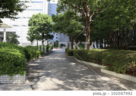 川崎 街並み 川崎 街並み 102087992