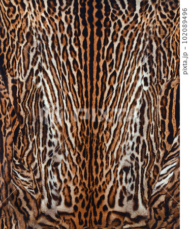 leopard fur texture 102089496