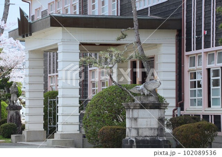 桜の時期の丹波篠山市立 八上小学校　玄関部　兵庫県丹波篠山市 102089536