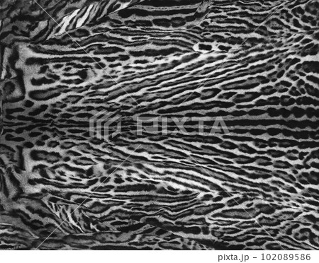 leopard fur texture 102089586