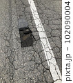 道路の穴 102090004