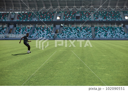 Professional football player in action at the stadium. 102090551