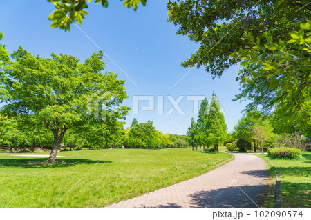 新緑の平和公園〈愛知県名古屋市〉 新緑の平和公園〈愛知県名古屋市〉 102090574