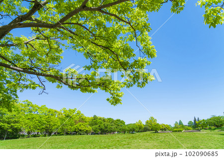 新緑の平和公園〈愛知県名古屋市〉 102090685