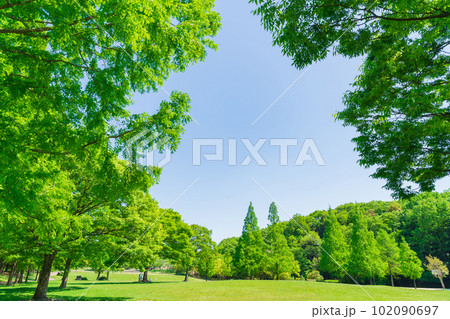 新緑の平和公園〈愛知県名古屋市〉 102090697