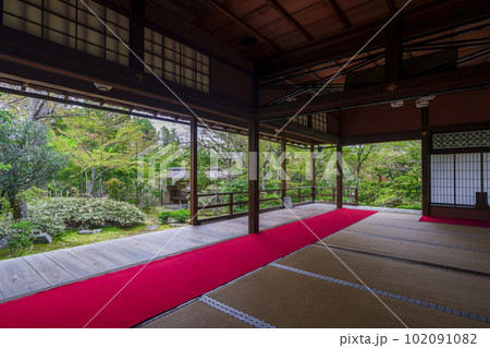 妙心寺 大法院 新緑の露地庭園(京都花園) 妙心寺 大法院 新緑の露地庭園(京都花園) 102091082