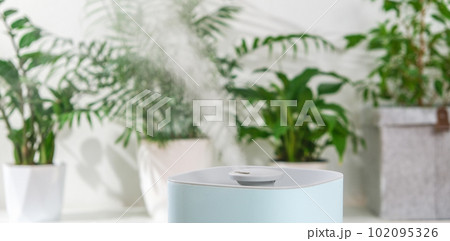 The ultrasonic humidifier releases cold steam 102095326