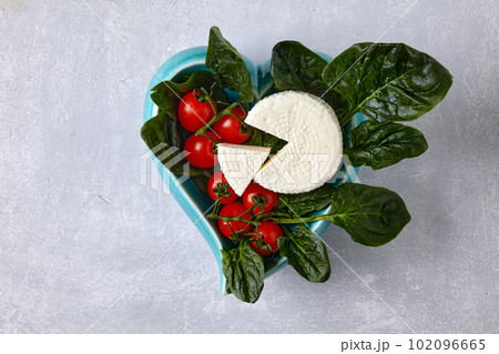 Green spinach leaves and mozzarella curd cheese on a dark plate on a light concrete table 102096665