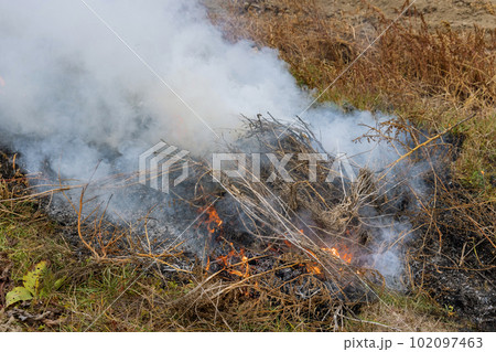 Spring field on fire burning dry grass large flames over smog in ecological catastrophe. Spring field on fire burning dry grass large flames over smog in ecological catastrophe. 102097463