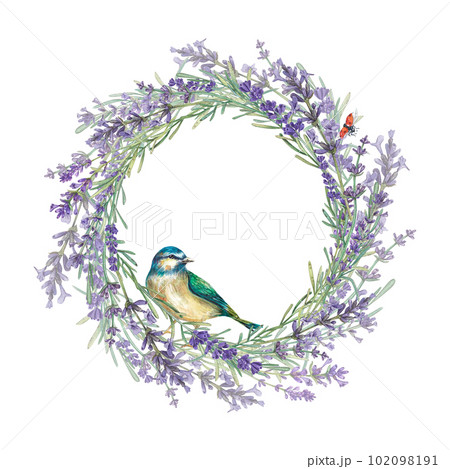 Round frame made of Provencal lavender flowers with a blueberry. Watercolor illustration of purple flowers. Botanical plants. A wreath with a place for the text. Suitable for postcards, leaflet, pack Round frame made of Provencal lavender flowers with a blueberry. Watercolor illustration of purple flowers. Botanical plants. A wreath with a place for the text. Suitable for postcards, leaflet, pack 102098191