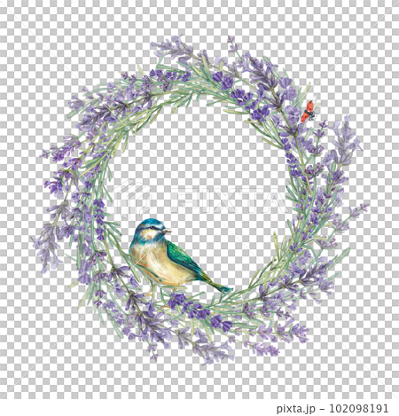 Round frame made of Provencal lavender flowers with a blueberry. Watercolor illustration of purple flowers. Botanical plants. A wreath with a place for the text. Suitable for postcards, leaflet, pack Round frame made of Provencal lavender flowers with a blueberry. Watercolor illustration of purple flowers. Botanical plants. A wreath with a place for the text. Suitable for postcards, leaflet, pack 102098191