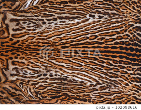 Leopard fur 102098616