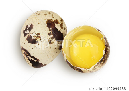 Raw quail egg isolated on white background with full depth of field. Top view. Flat lay 102099488