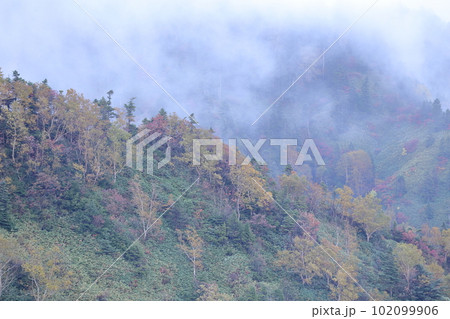 秋、霧が立ちこめる山(志賀高原 長野県 山之内町) 秋、霧が立ちこめる山(志賀高原 長野県 山之内町) 102099906