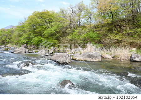 新緑と清流 那珂川の流れ【栃木県那須塩原市】 新緑と清流 那珂川の流れ【栃木県那須塩原市】 102102054
