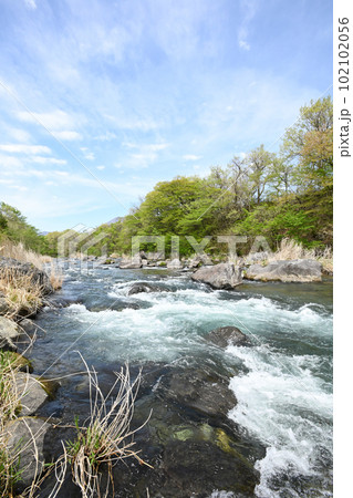 新緑と清流 那珂川の流れ【栃木県那須塩原市】 新緑と清流 那珂川の流れ【栃木県那須塩原市】 102102056