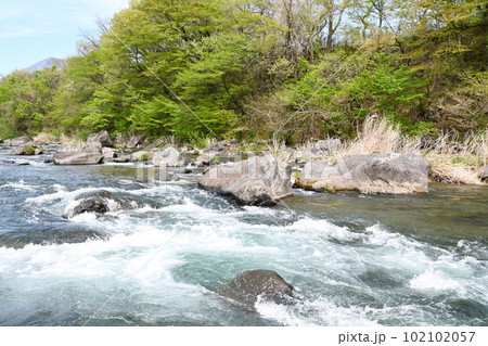 新緑と清流 那珂川の流れ【栃木県那須塩原市】 新緑と清流 那珂川の流れ【栃木県那須塩原市】 102102057