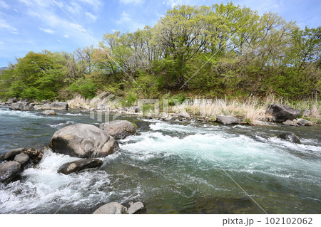 新緑と清流 那珂川の流れ【栃木県那須塩原市】 新緑と清流 那珂川の流れ【栃木県那須塩原市】 102102062
