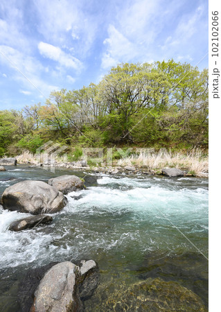 新緑と清流 那珂川の流れ【栃木県那須塩原市】 新緑と清流 那珂川の流れ【栃木県那須塩原市】 102102066