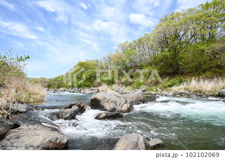 新緑と清流 那珂川の流れ【栃木県那須塩原市】 新緑と清流 那珂川の流れ【栃木県那須塩原市】 102102069