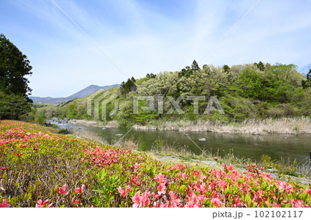 川岸のつつじと清流 那珂川の流れ【栃木県那須塩原市】 川岸のつつじと清流 那珂川の流れ【栃木県那須塩原市】 102102117