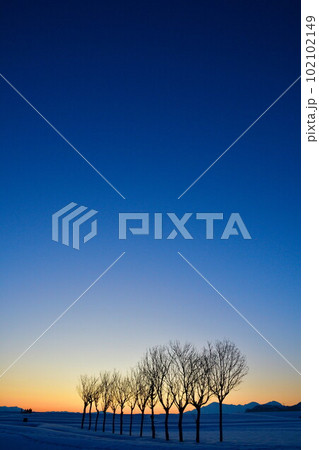 池ケ原のはさ木(新潟県) 池ケ原のはさ木(新潟県) 102102149