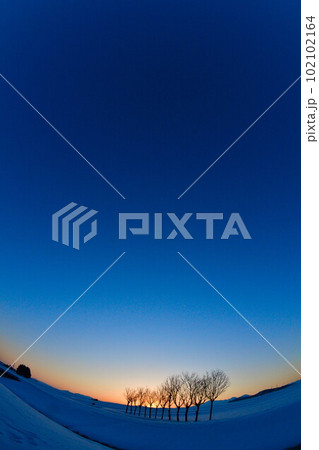 池ケ原のはさ木(新潟県) 池ケ原のはさ木(新潟県) 102102164