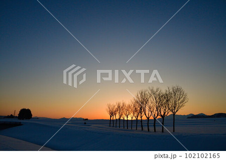 池ケ原のはさ木(新潟県) 池ケ原のはさ木(新潟県) 102102165