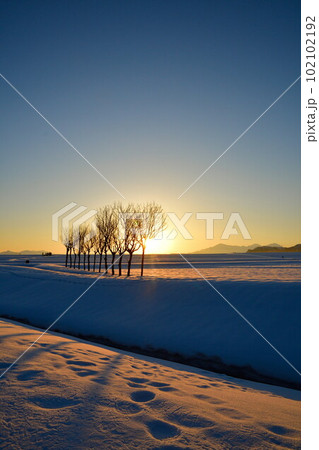 池ケ原のはさ木(新潟県) 池ケ原のはさ木(新潟県) 102102192