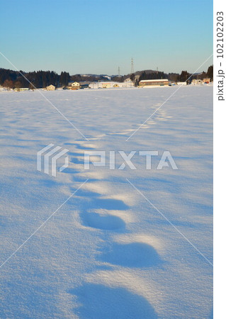 池ケ原地域の雪景色(新潟県) 池ケ原地域の雪景色(新潟県) 102102203