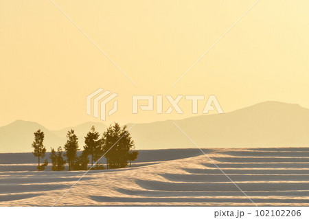 池ケ原地域の雪景色(新潟県) 池ケ原地域の雪景色(新潟県) 102102206