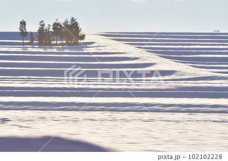 池ケ原地域の雪景色(新潟県) 池ケ原地域の雪景色(新潟県) 102102228
