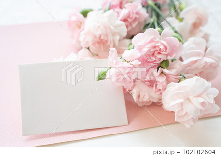 カーネーション　母の日ボタニカルフレーム 102102604