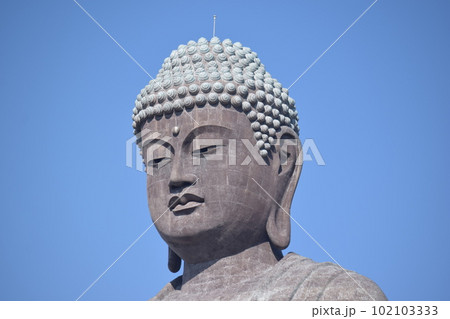 牛久大仏 世界最大のブロンズ立像 牛久大仏 世界最大のブロンズ立像 102103333