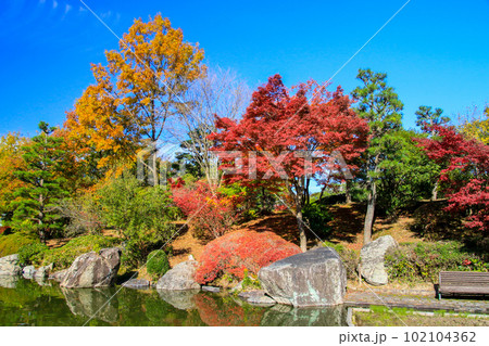 びわこ文化公園 102104362