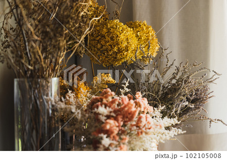 ドライフラワー　インテリア 102105008