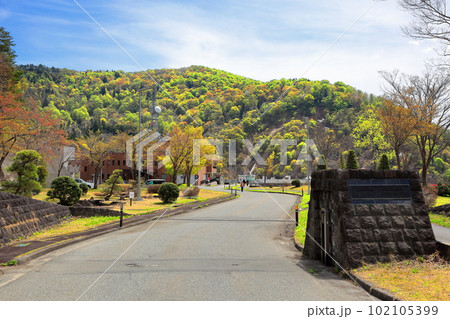 白川湖の水没林　白川ダム湖岸公園 102105399