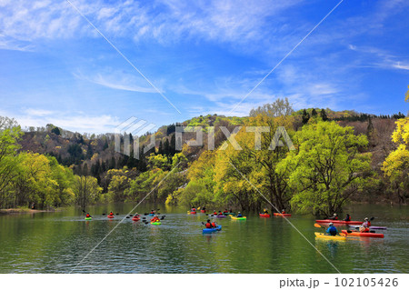 白川湖の水没林　白川ダム湖岸公園 102105426