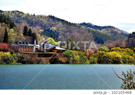 白川湖の水没林　白川ダム湖岸公園 102105468