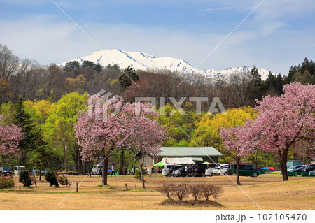 白川湖の水没林　白川ダム湖岸公園 102105470