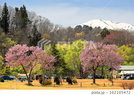 白川湖の水没林　白川ダム湖岸公園 102105472