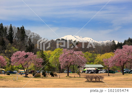 白川湖の水没林　白川ダム湖岸公園 102105474
